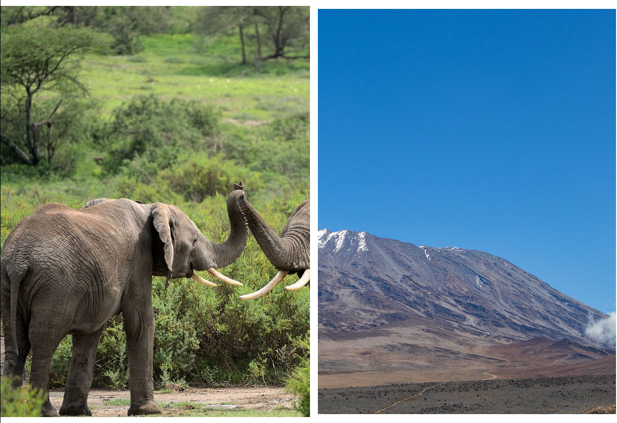Kilimanjaro overview 1